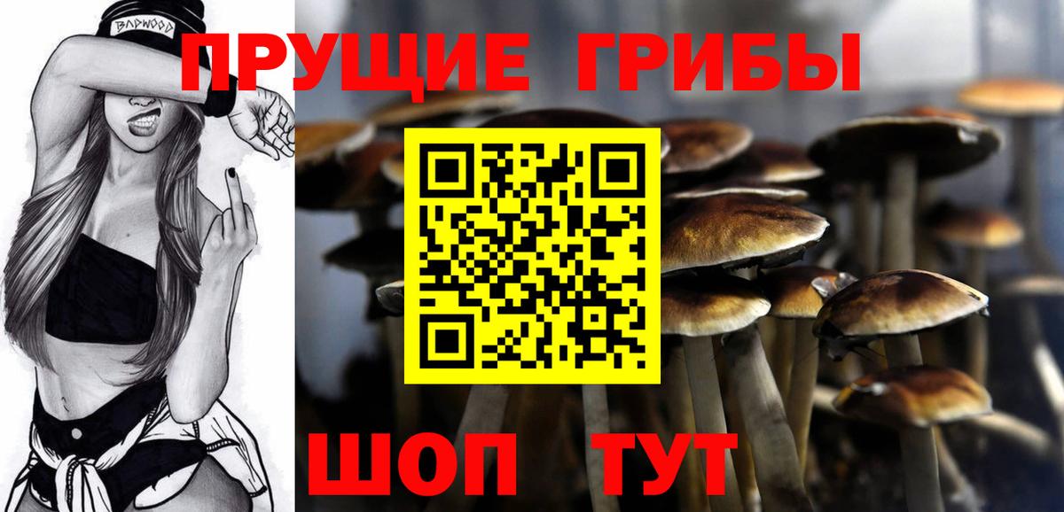 Балашиха  Галлюциногенные грибы мицелий  Вход с VPN 